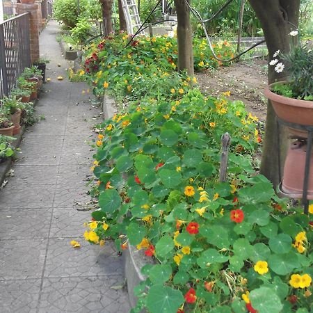 VietriLe Mimose别墅 外观 照片