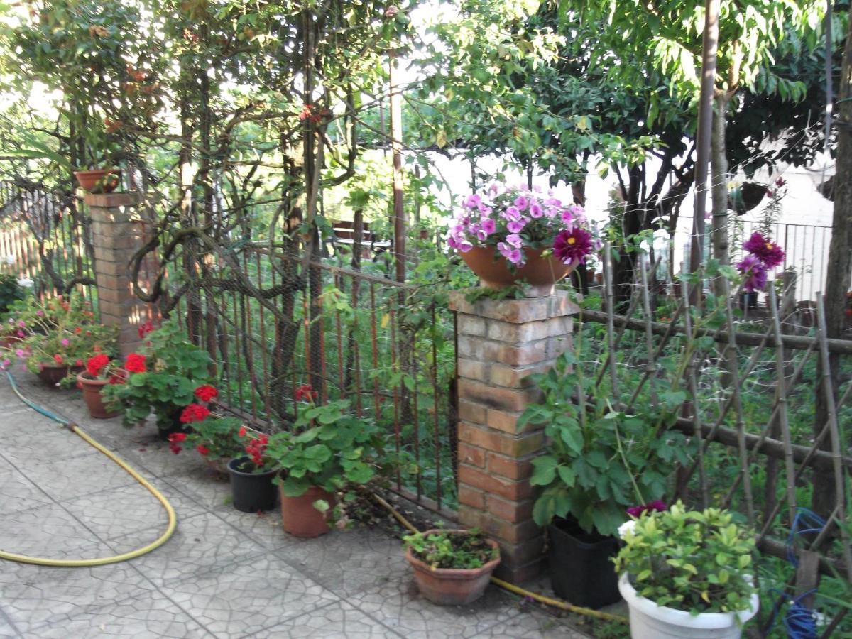 VietriLe Mimose别墅 外观 照片