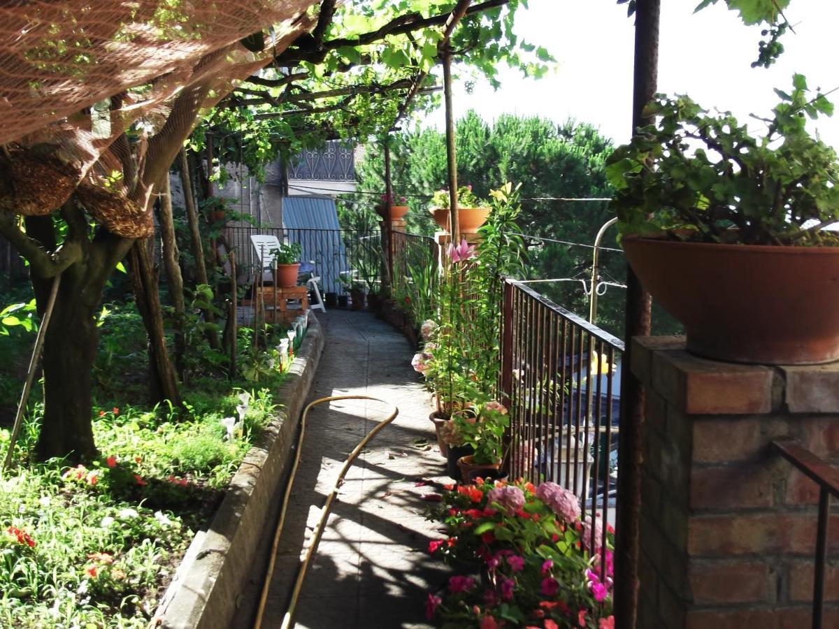VietriLe Mimose别墅 外观 照片