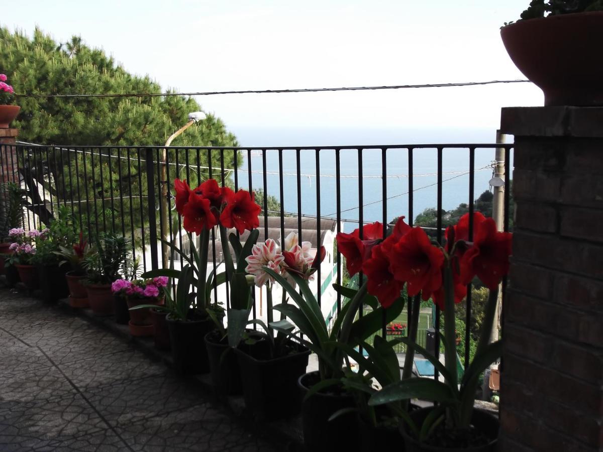 VietriLe Mimose别墅 外观 照片
