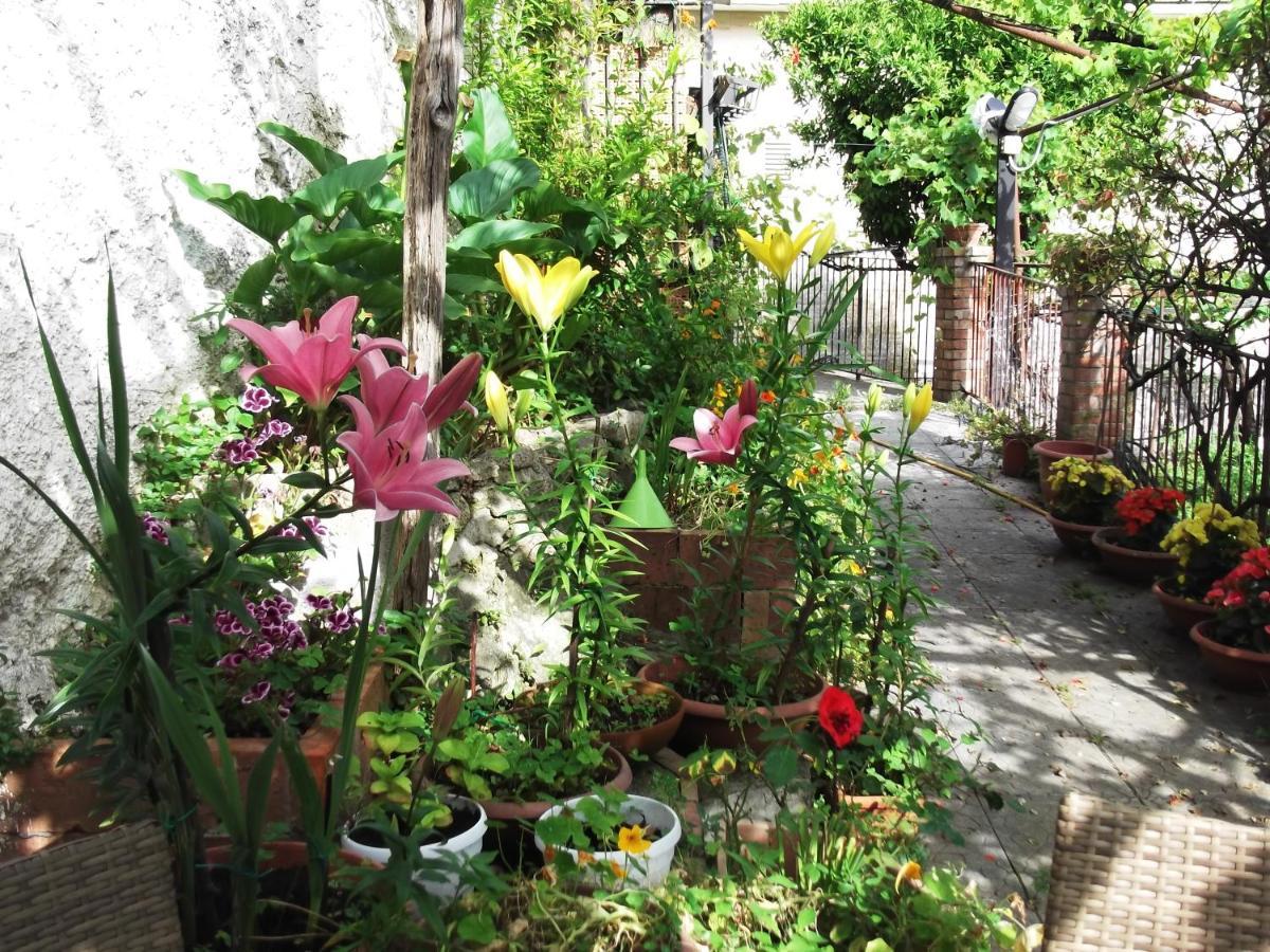 VietriLe Mimose别墅 外观 照片