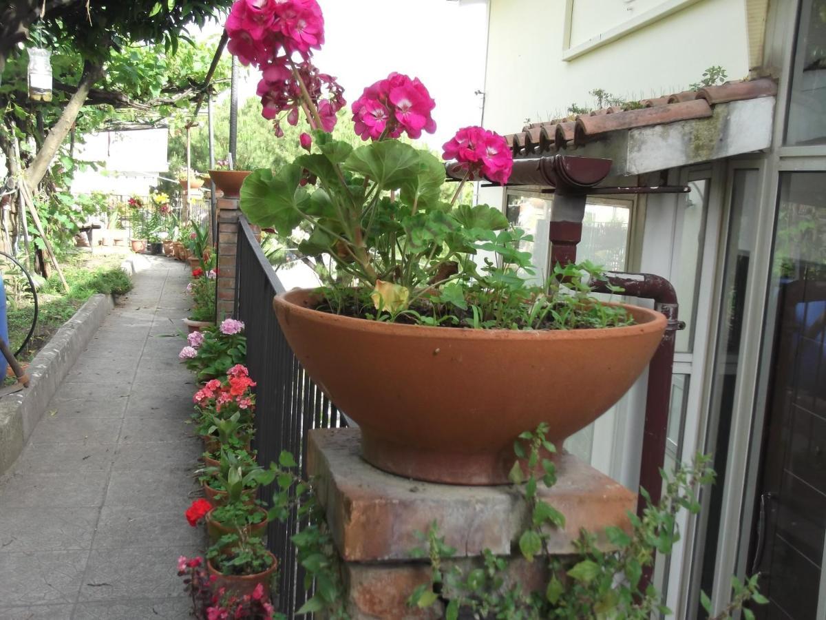 VietriLe Mimose别墅 外观 照片