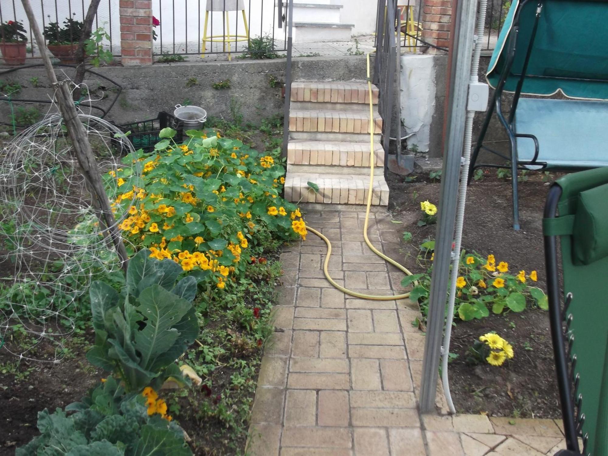 VietriLe Mimose别墅 外观 照片