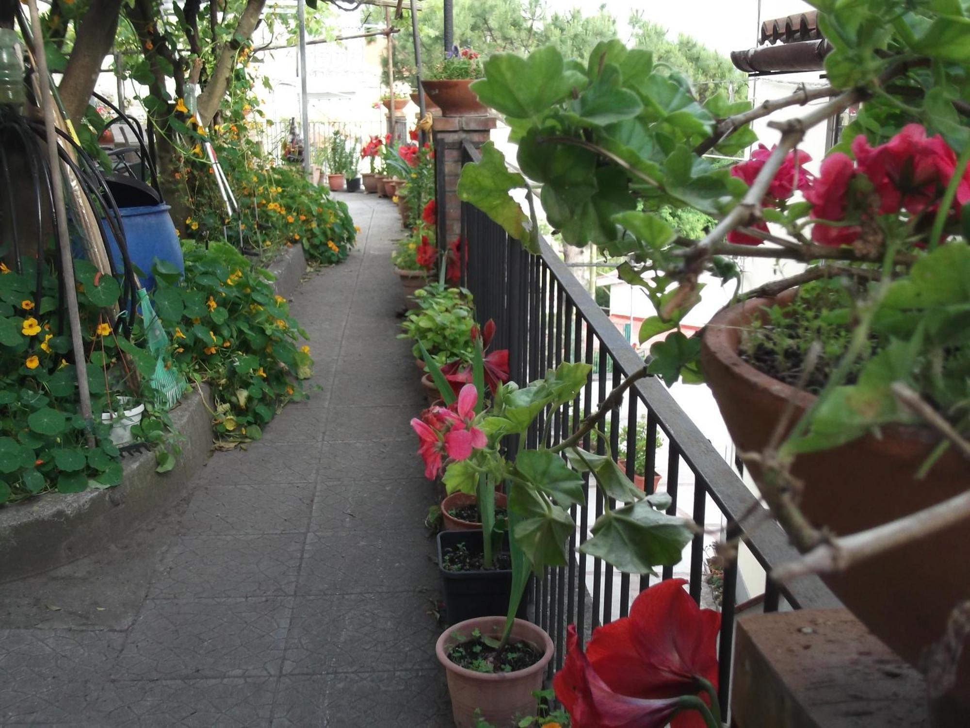 VietriLe Mimose别墅 外观 照片