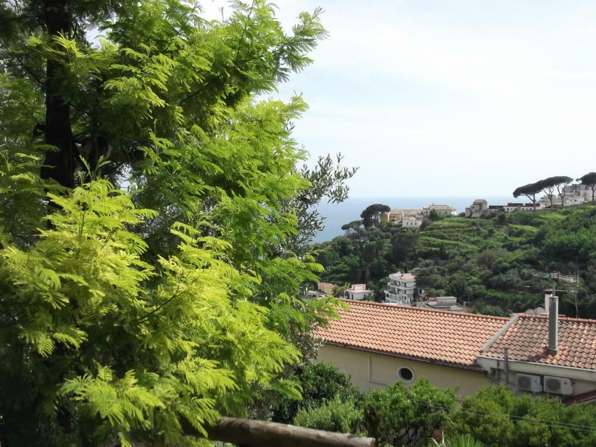 VietriLe Mimose别墅 外观 照片