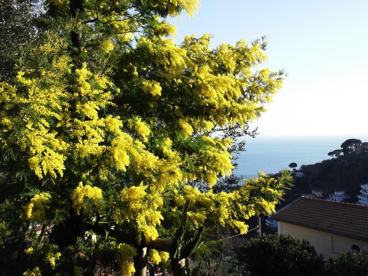VietriLe Mimose别墅 外观 照片